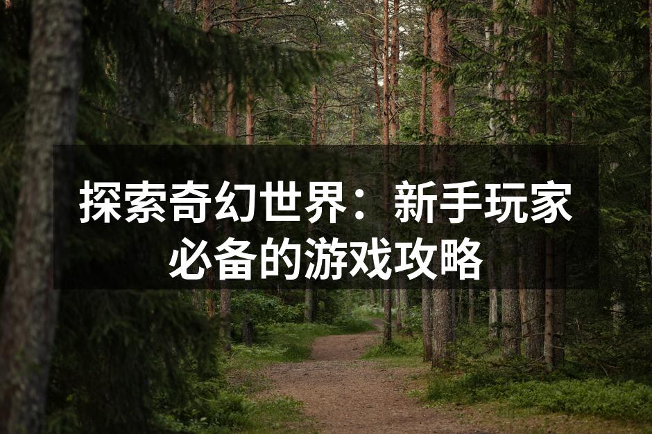 新手玩家角色创建